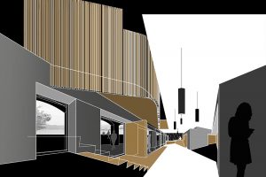 Paris cinema access